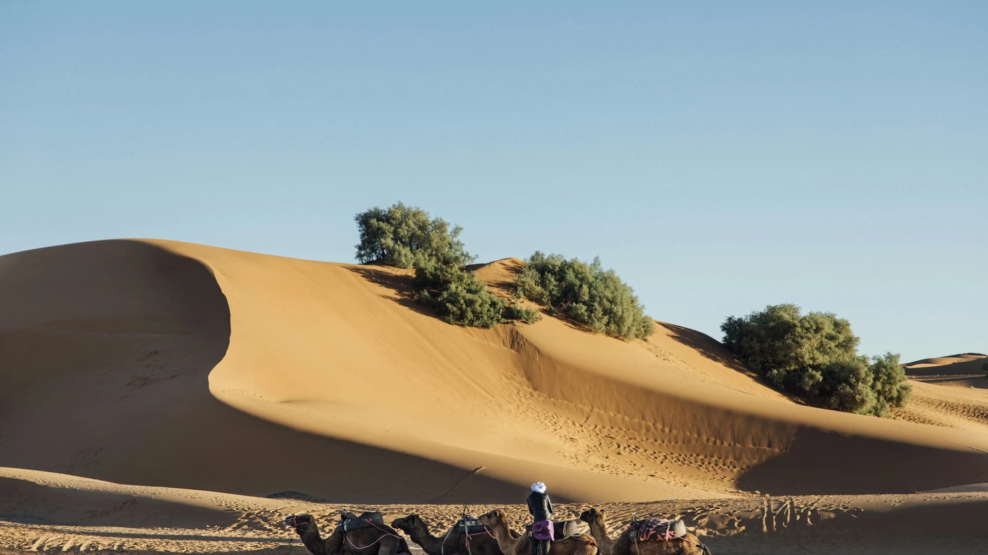 Photo d'illustration — ambiance désert à Merzouga