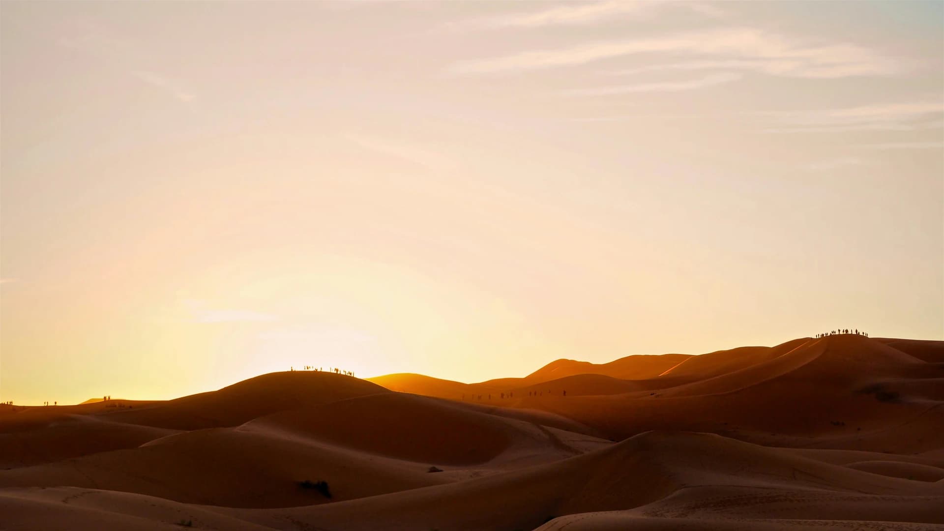 Ciel étoilé au-dessus des dunes de l'Erg Chebbi