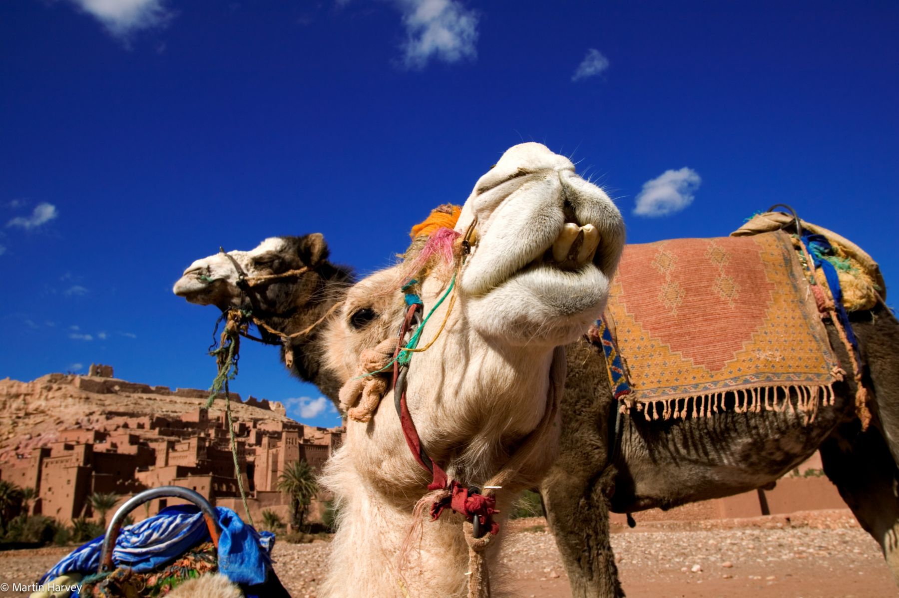 Sur la Route des Mille Kasbahs : du col du Tizi n Tichka au Ksar d'Aït-Ben-Haddou