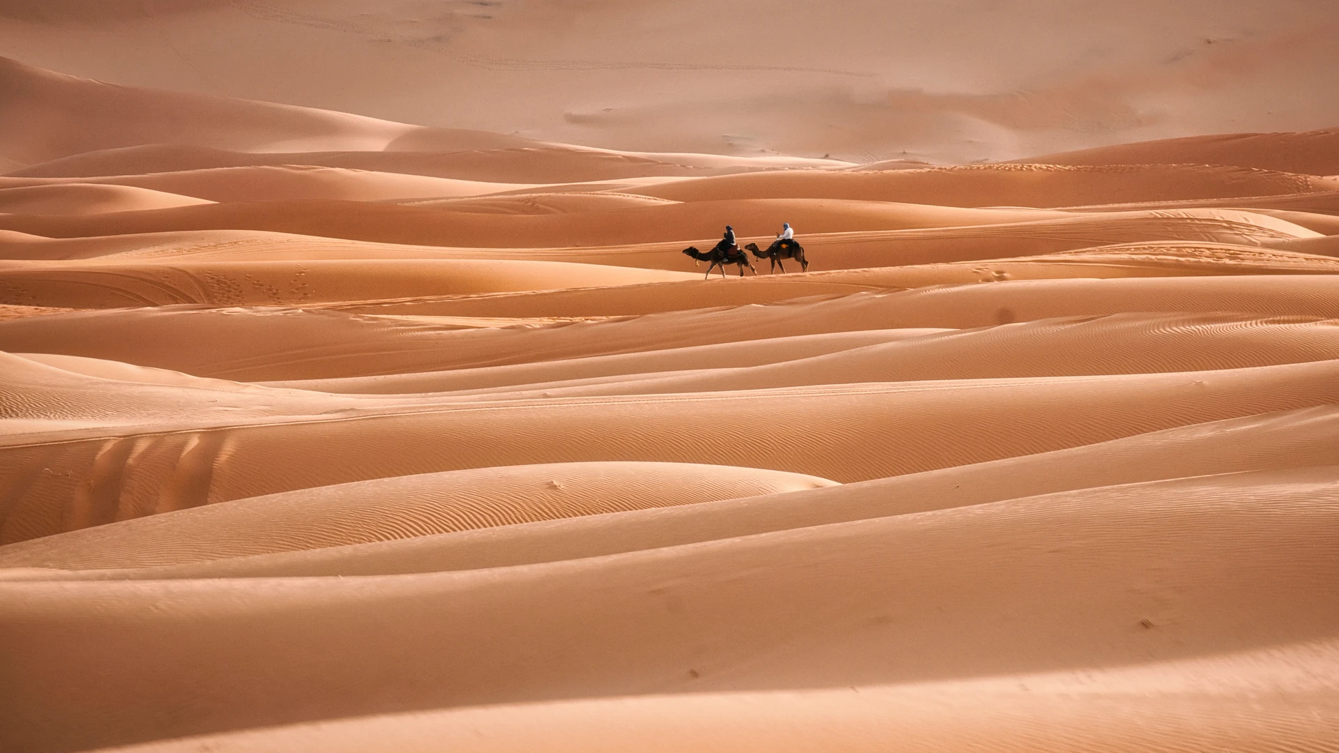 Les activités dans les dunes