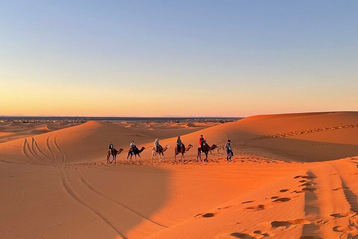 Balade à Dromadaire à Merzouga (Camel Trekking Sahara)