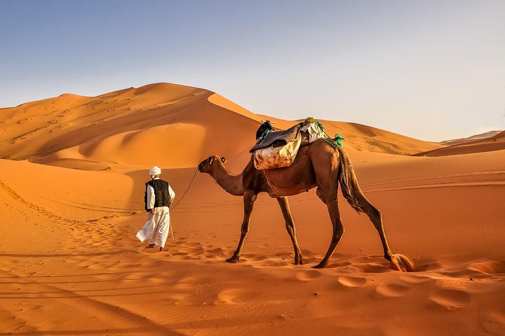 Une balade dromadaire, ou un vrai trek ?