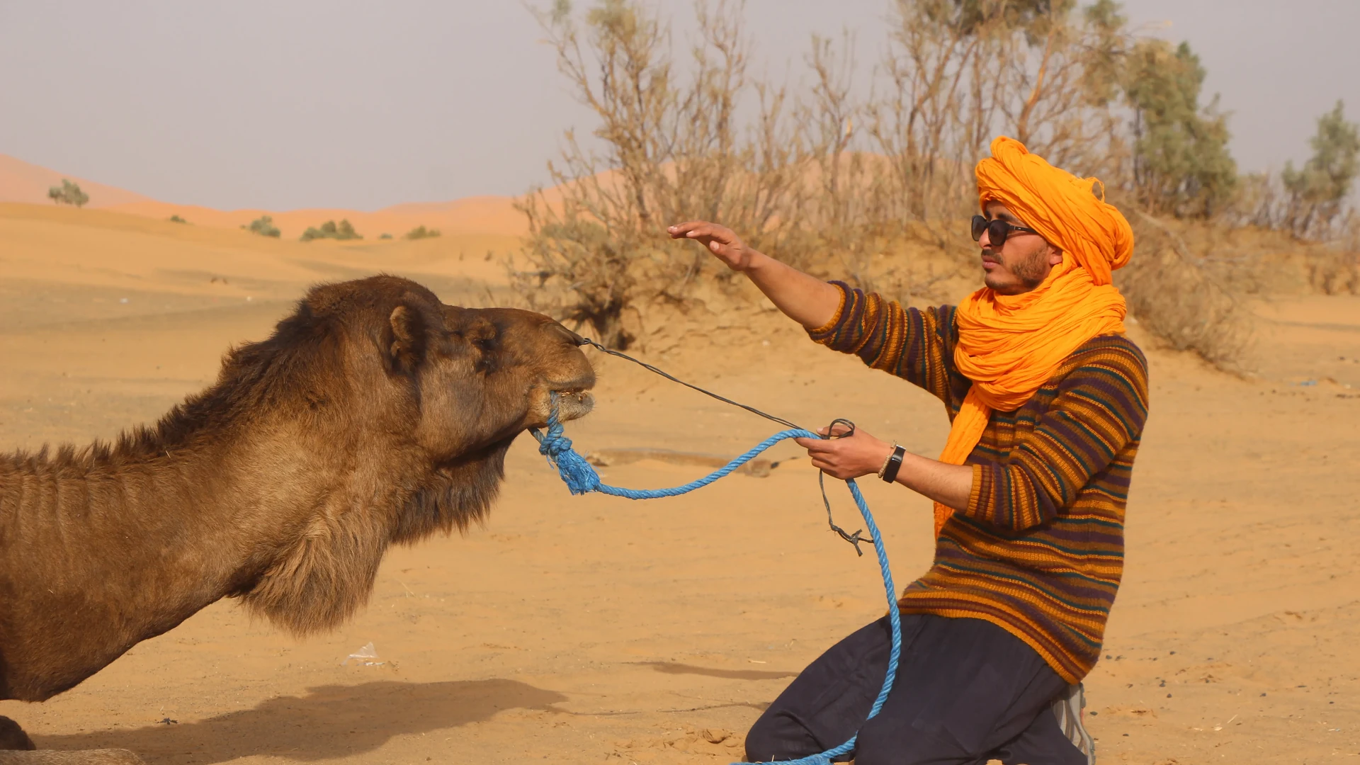 Caravane de dromadaires traversant les dunes de l'Erg Chebbi
