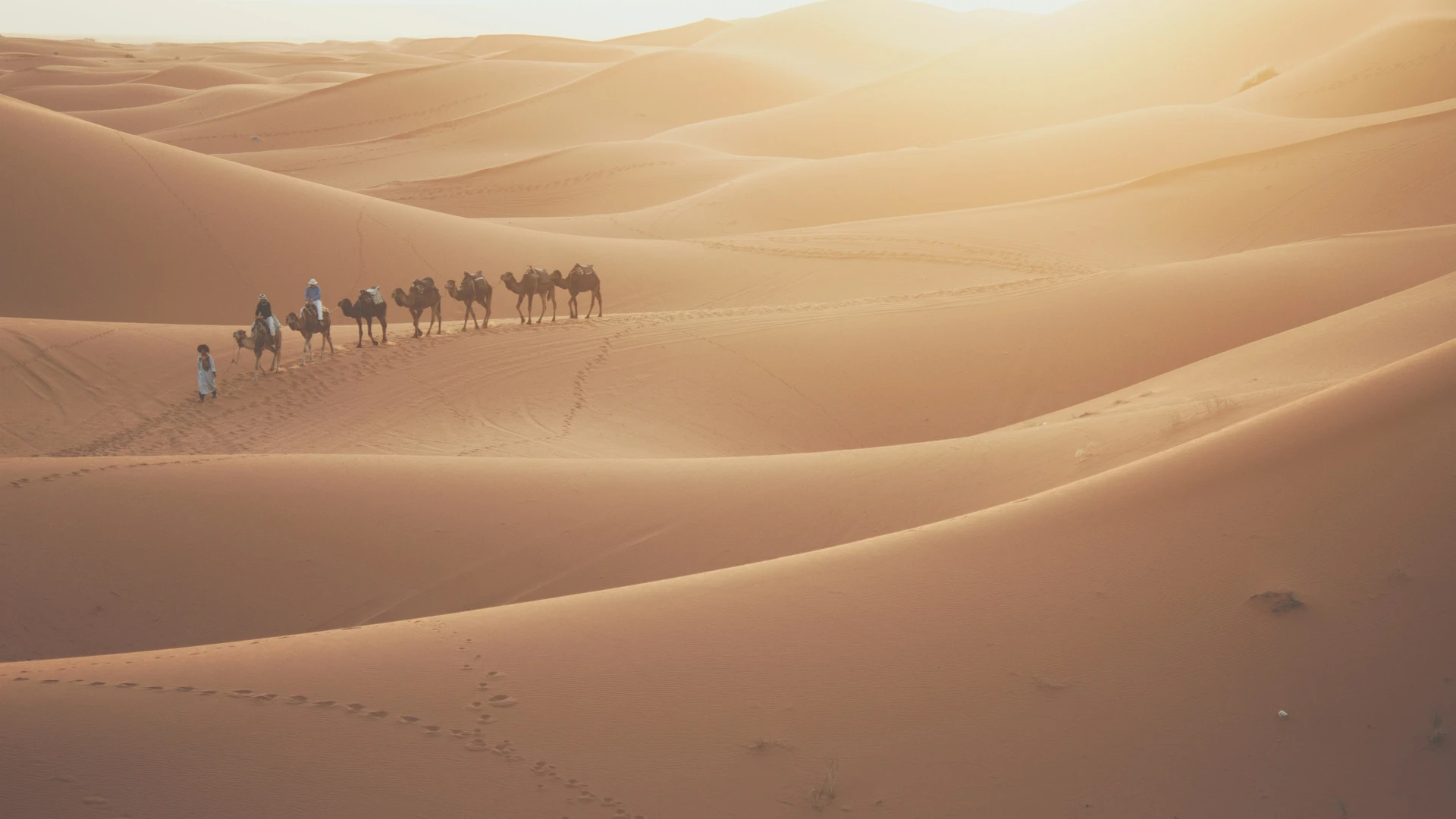 Pourquoi le ciel d'Erg Chebbi est-il si particulier ?