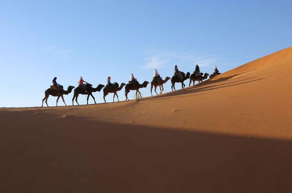Le Guide Ultime du Désert de Merzouga