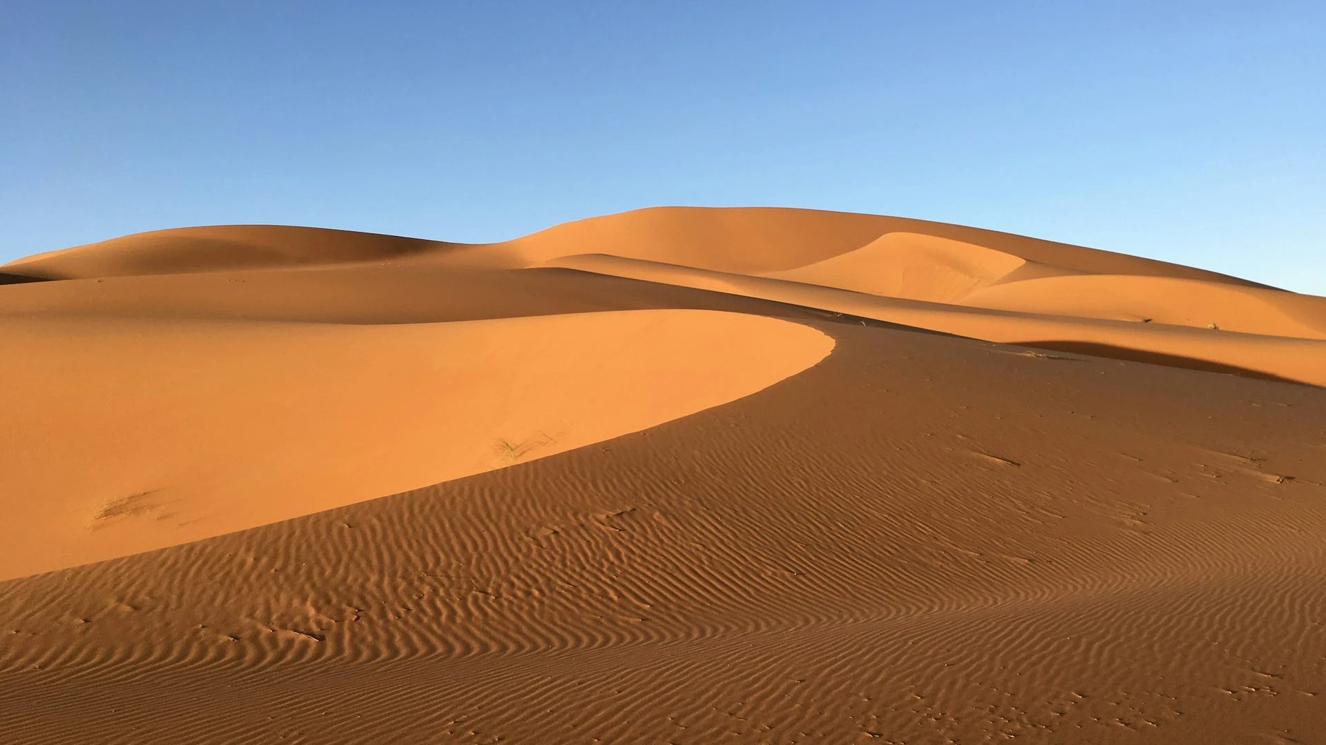 Lever de soleil sur les dunes dorées de l'Erg Chebbi