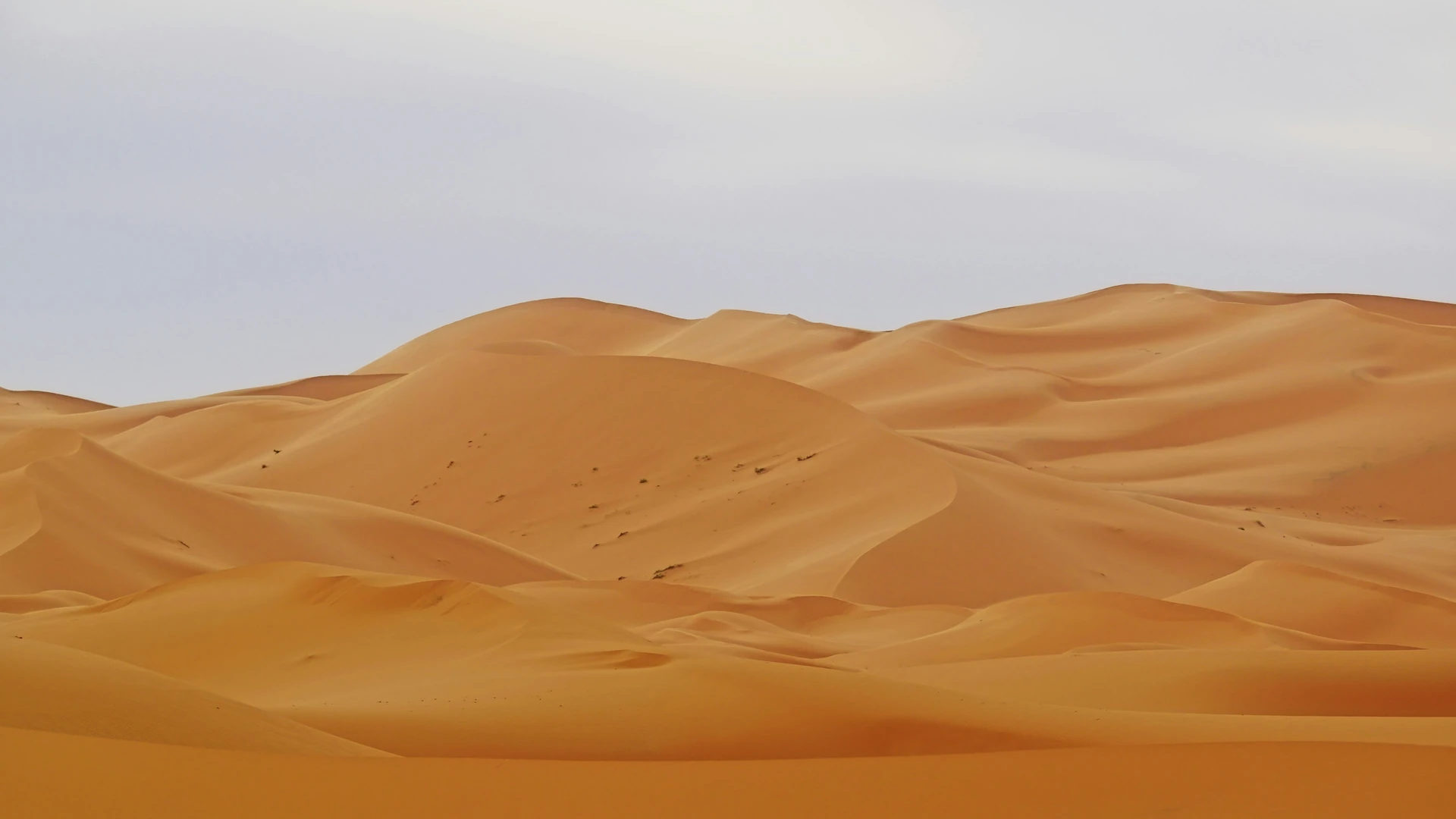 Ce qu'il faut avoir sur soi avant de s'installer sur la dune