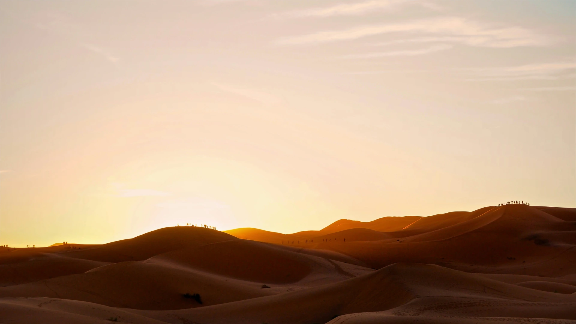 Ciel étoilé au-dessus des dunes de l'Erg Chebbi