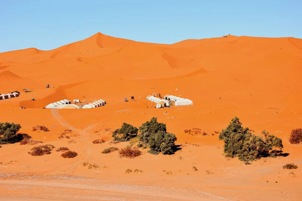 Lever de Soleil à Merzouga : Meilleur Moment pour Admirer les Dunes d'Erg Chebbi