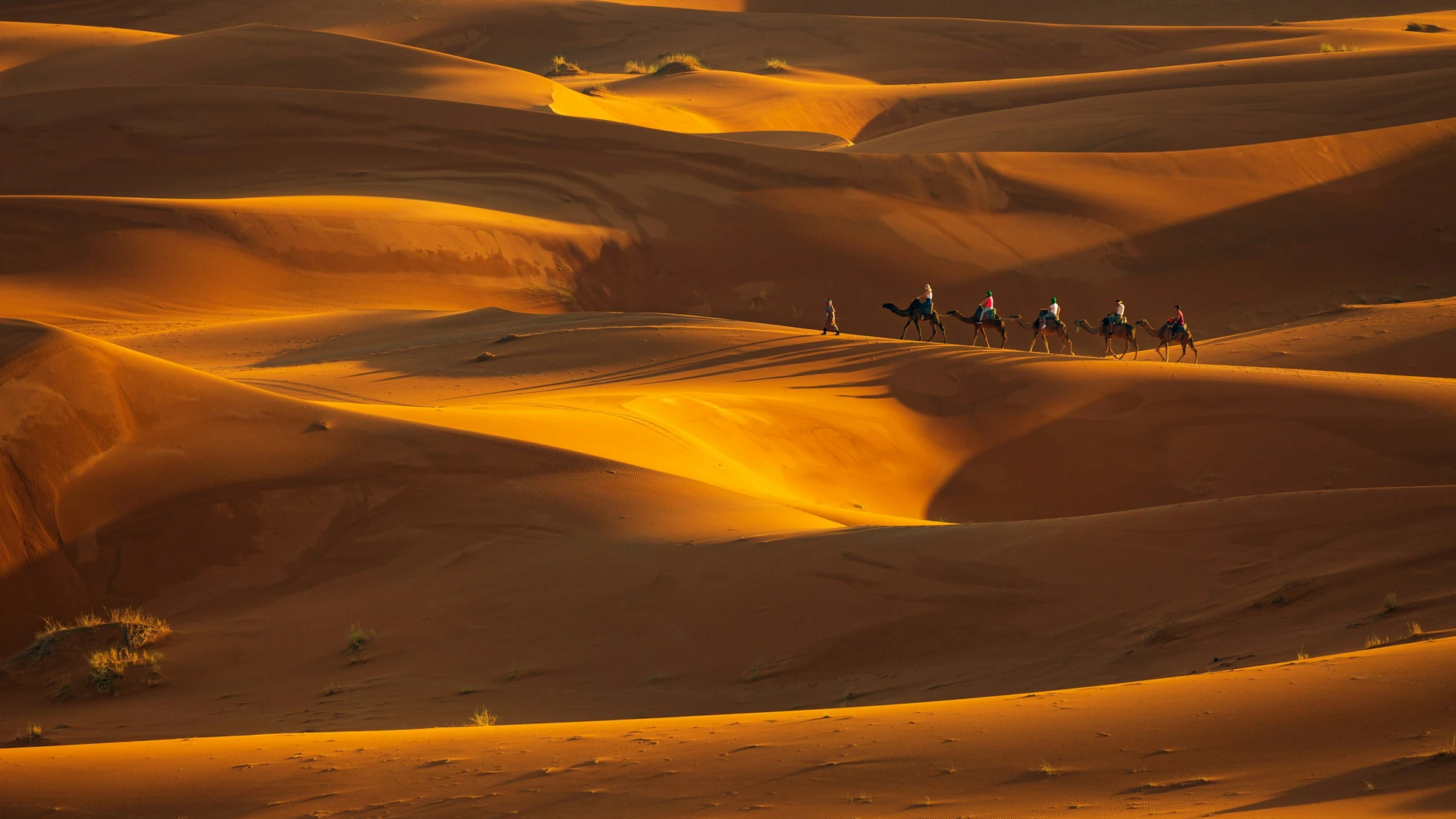 Durée et formats de la balade dromadaire à Merzouga