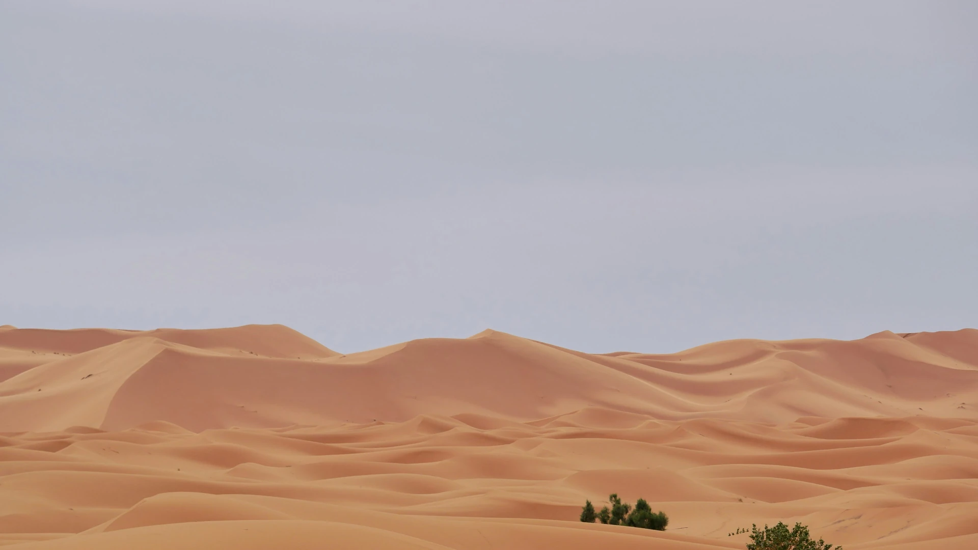 Le désert marocain n'est pas que du sable