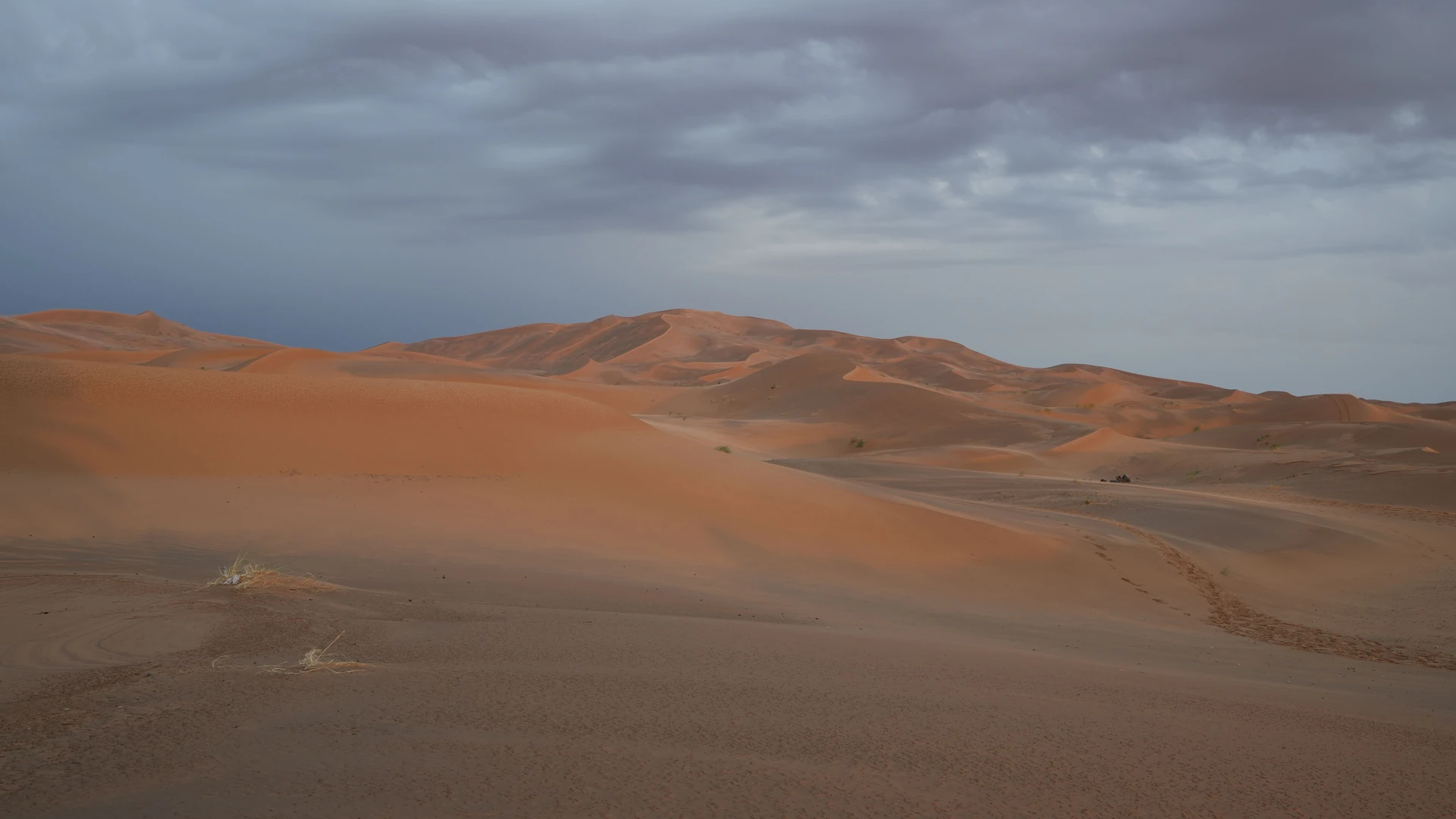 Les cafés avec vue sur les dunes
