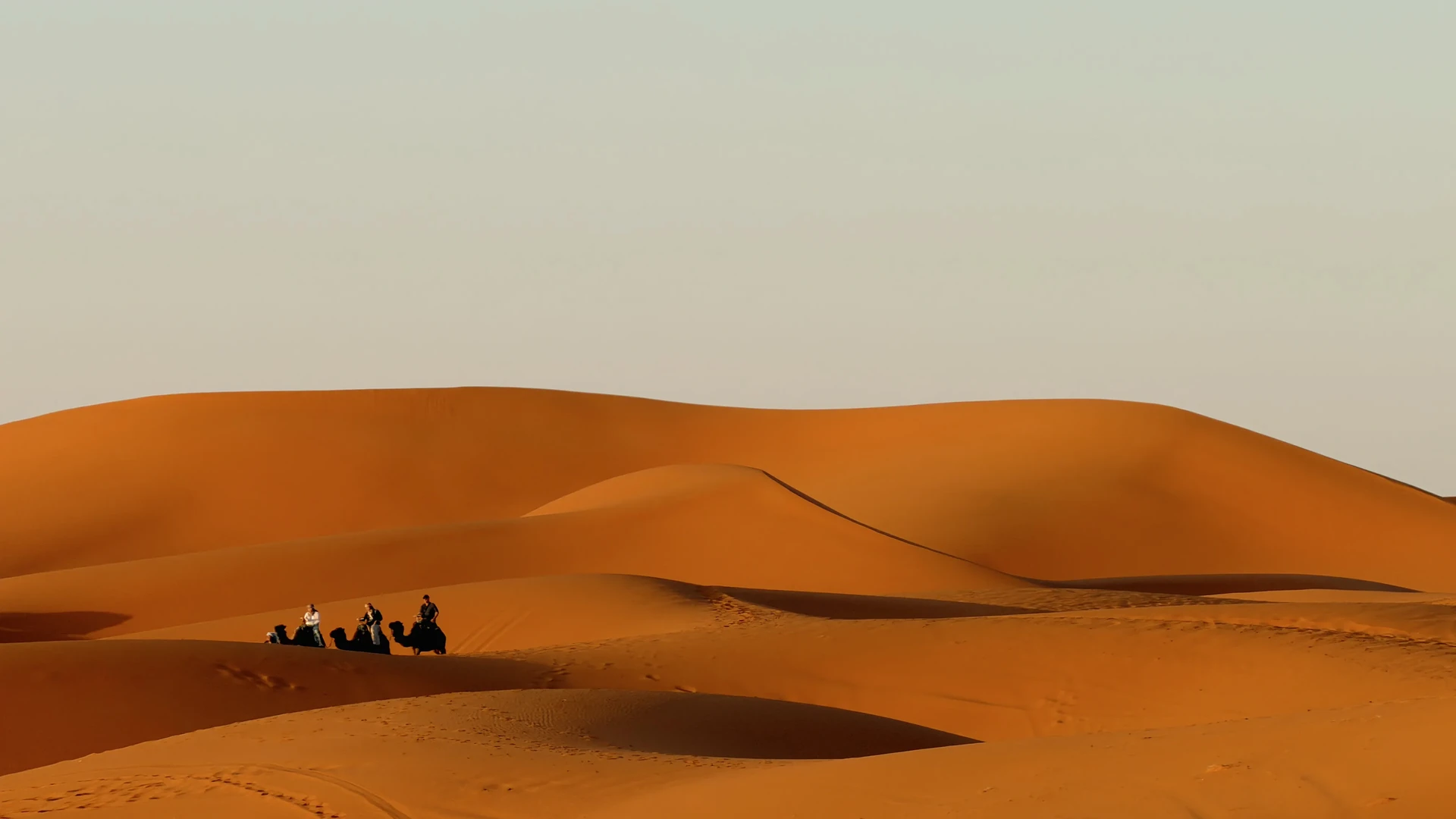 Que couvre vraiment le prix d'une excursion ?