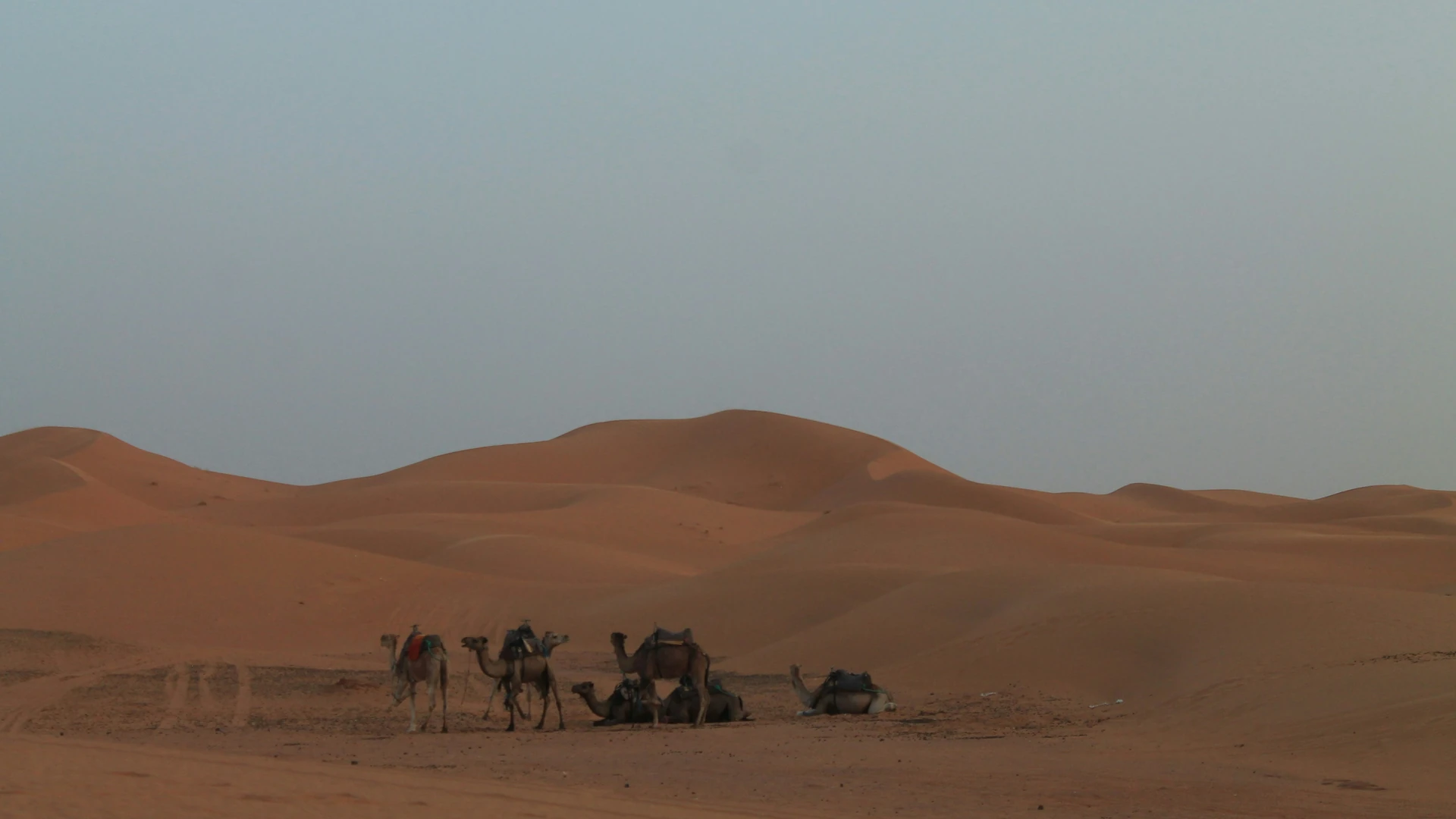 Températures par saison à Merzouga et Erg Chebbi
