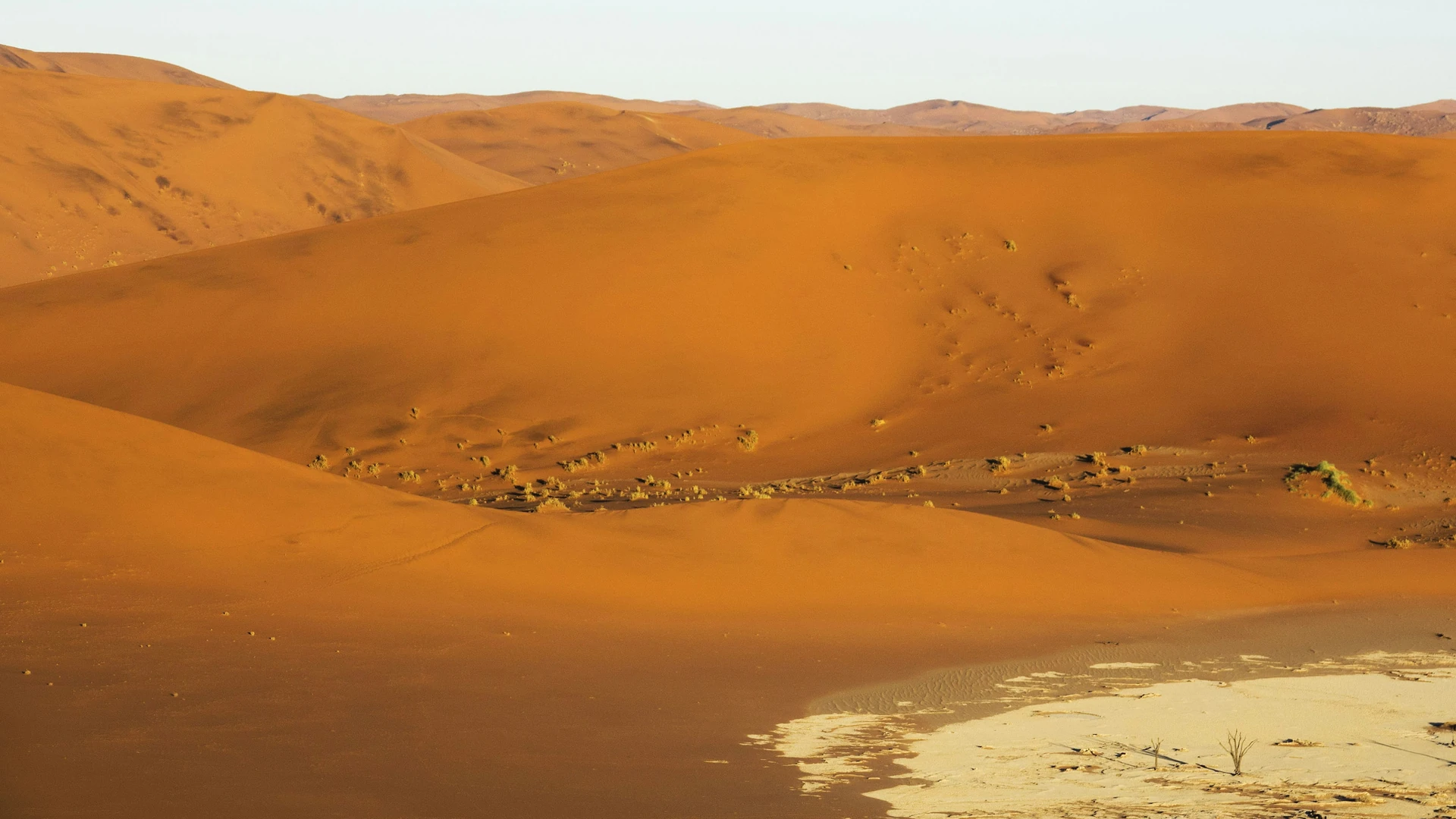 Ce qu'il y a à voir hors des dunes