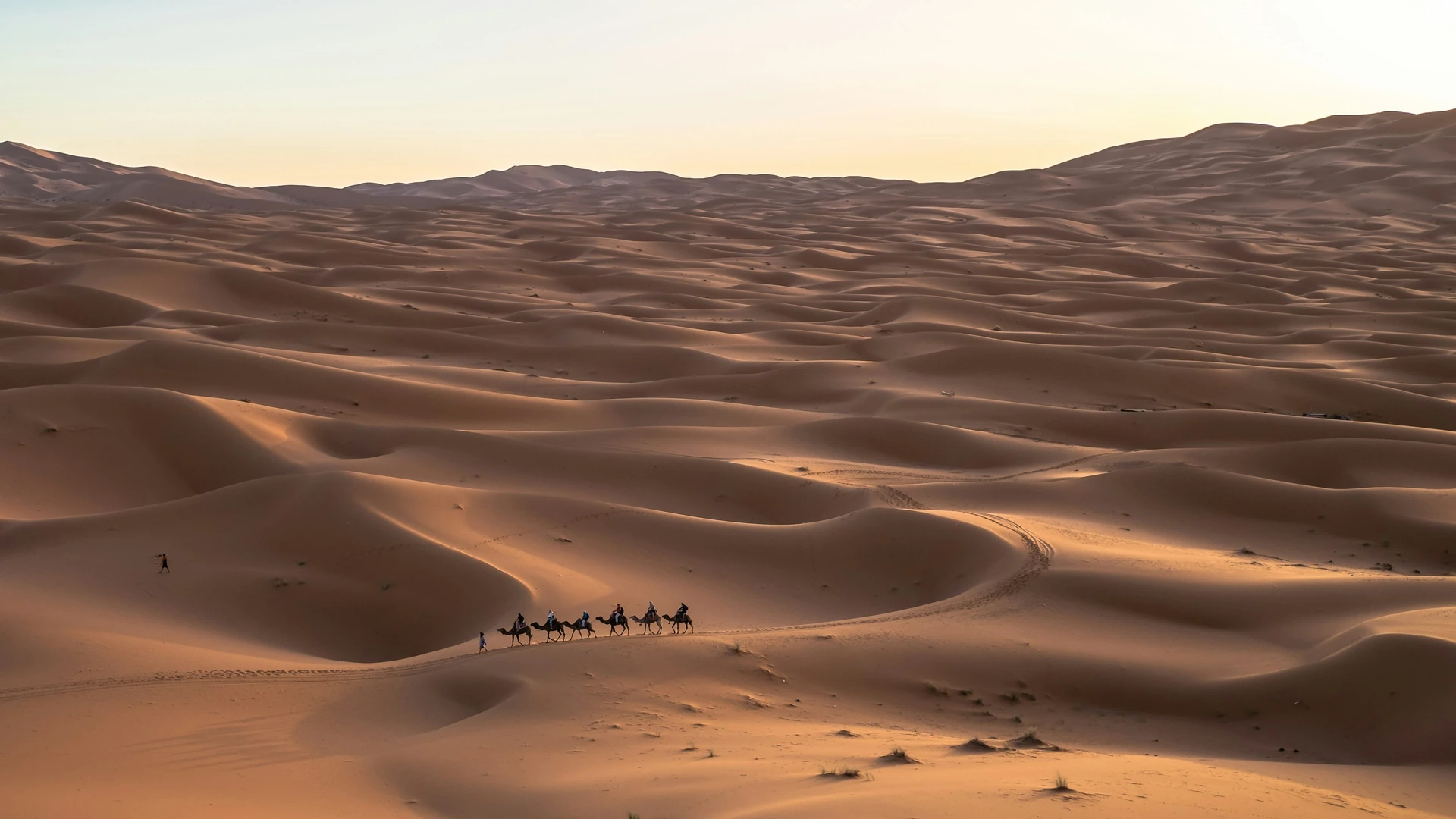 Faut-il un guide pour voir le lever de soleil sur les dunes ?