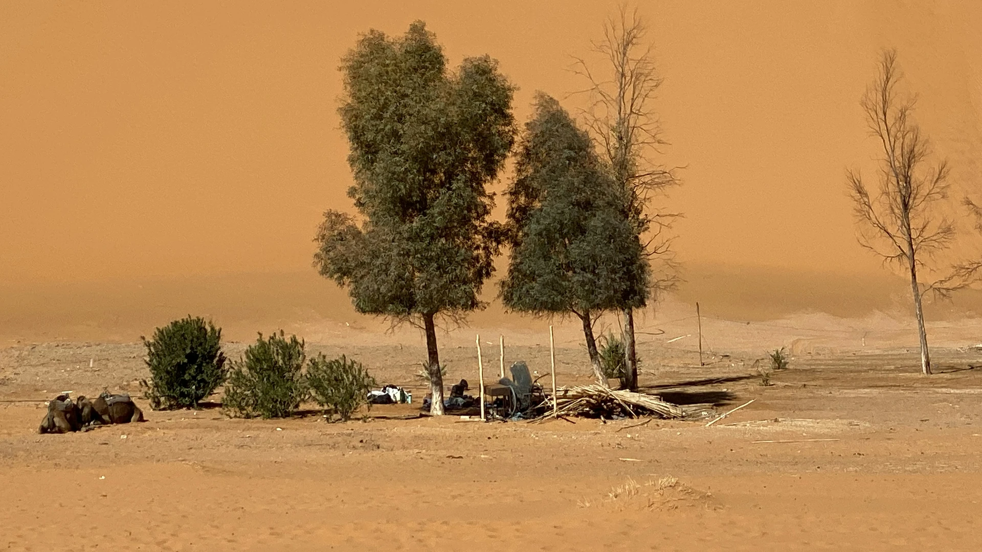 Peut-on marcher librement dans les dunes ?