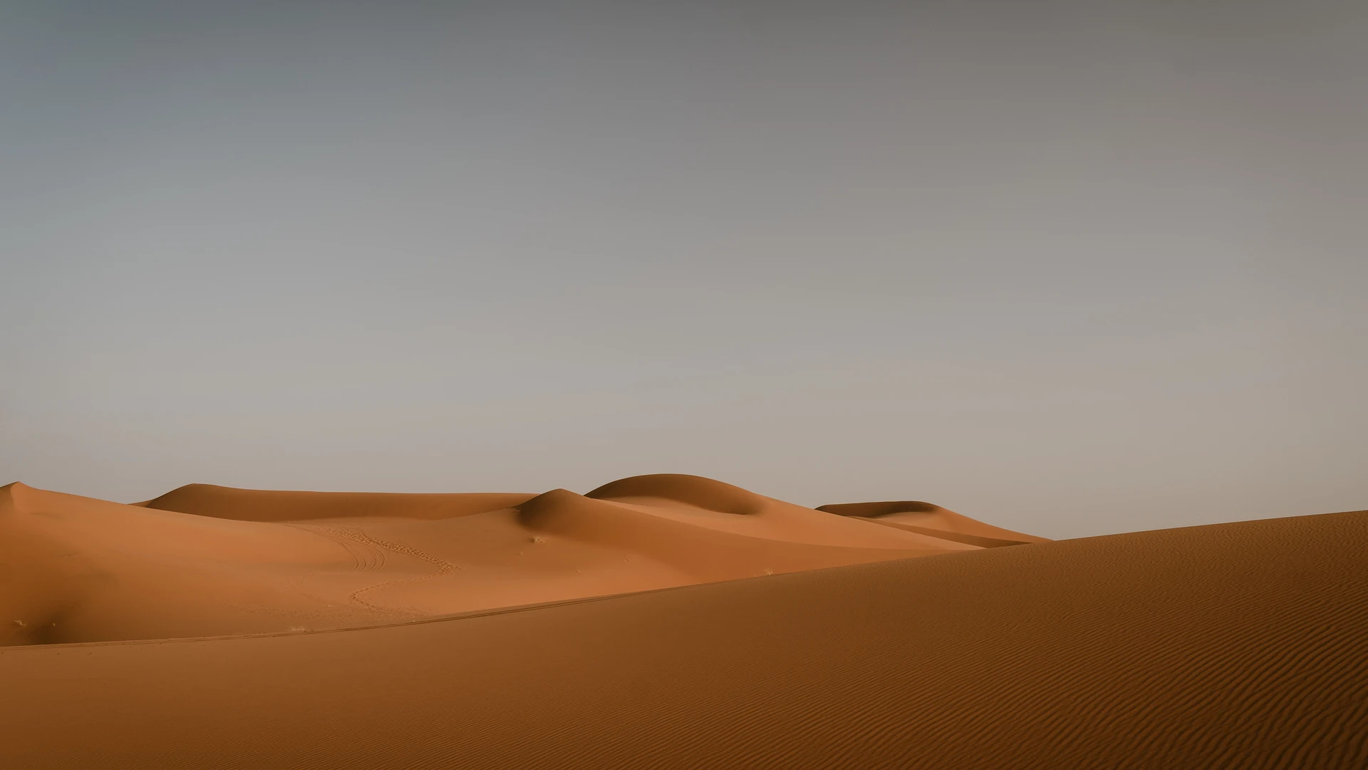 1. À quel âge emmener ses enfants à Merzouga