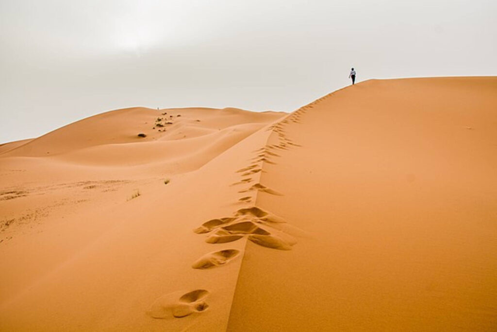 Séjour à Merzouga