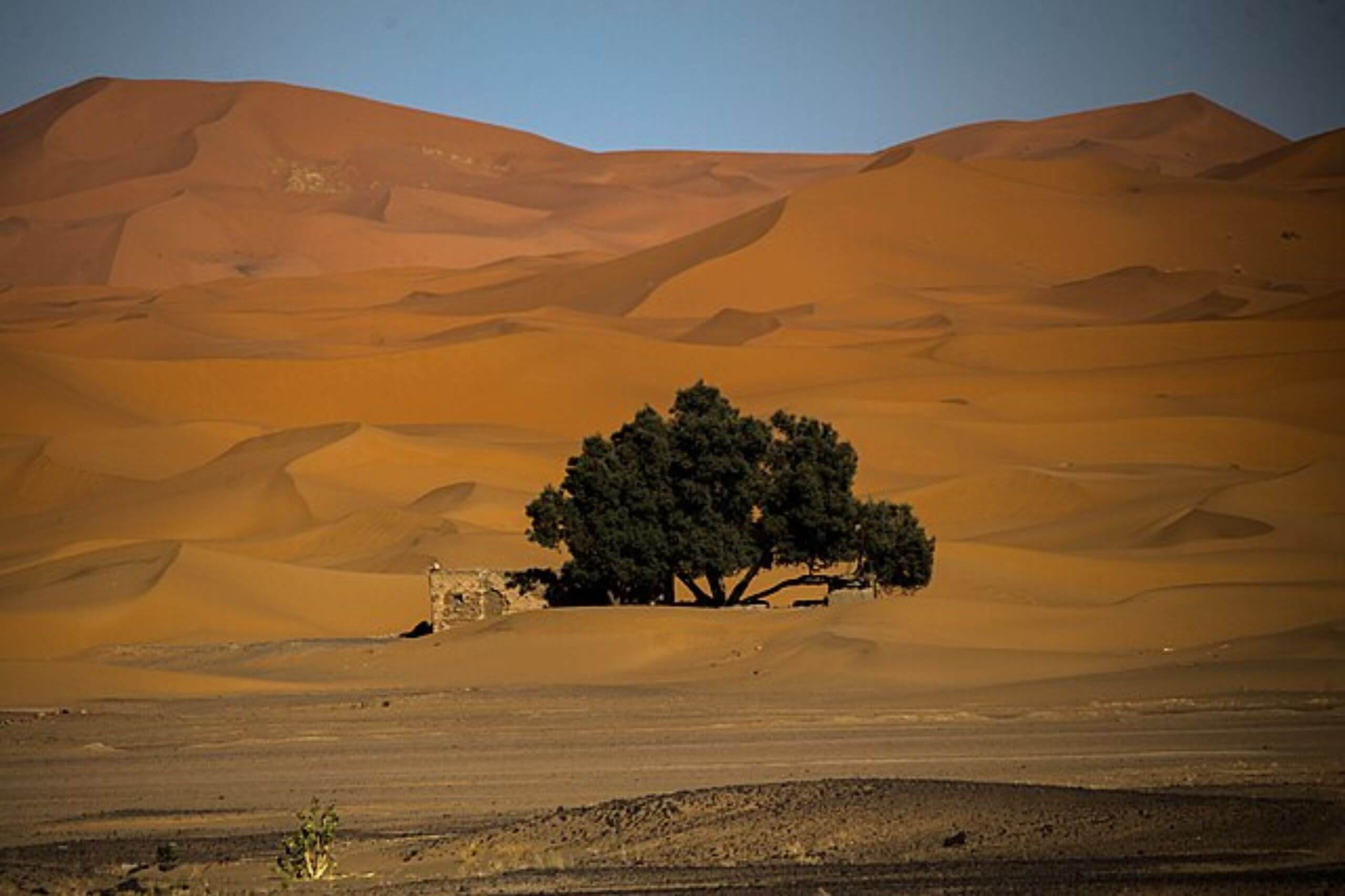 se rendre à merzouga