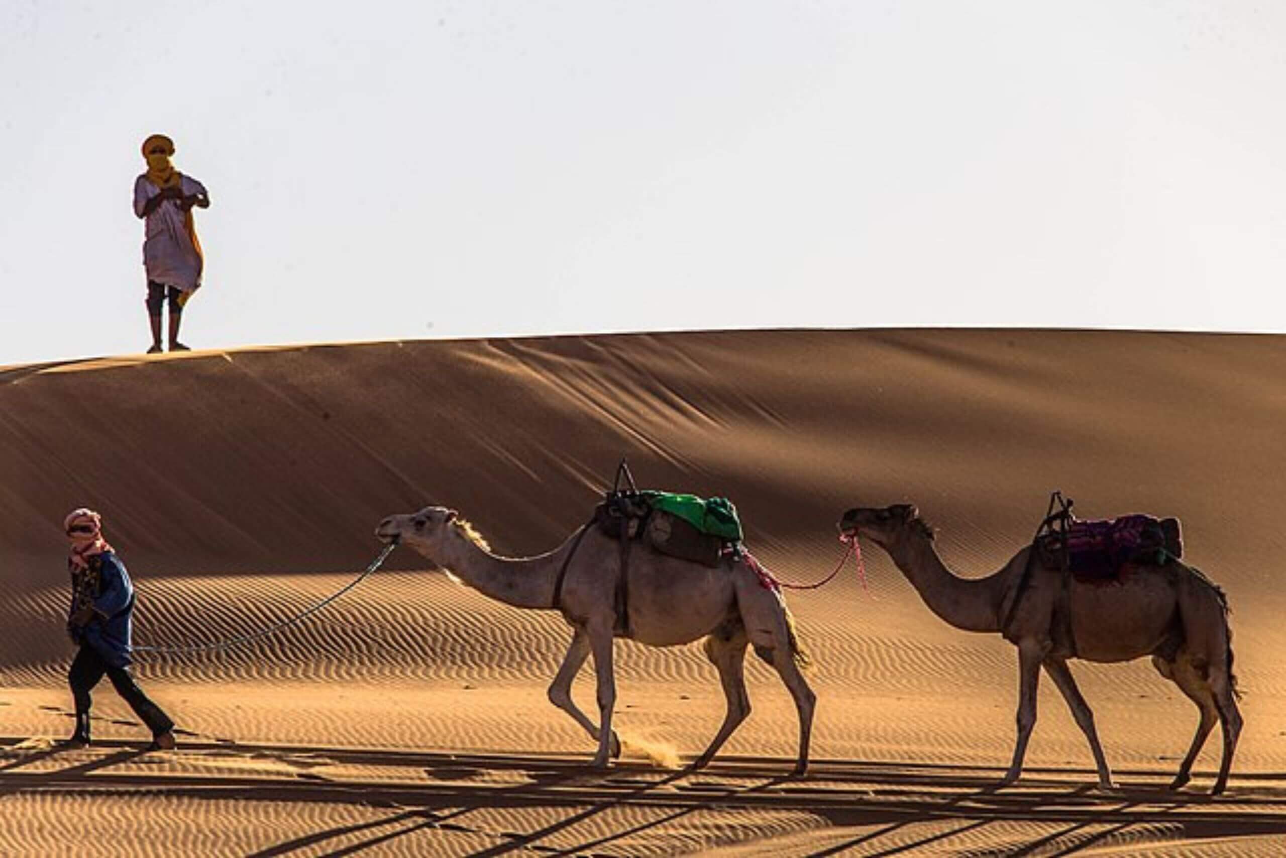 Excursion Merzouga depuis Marrakech