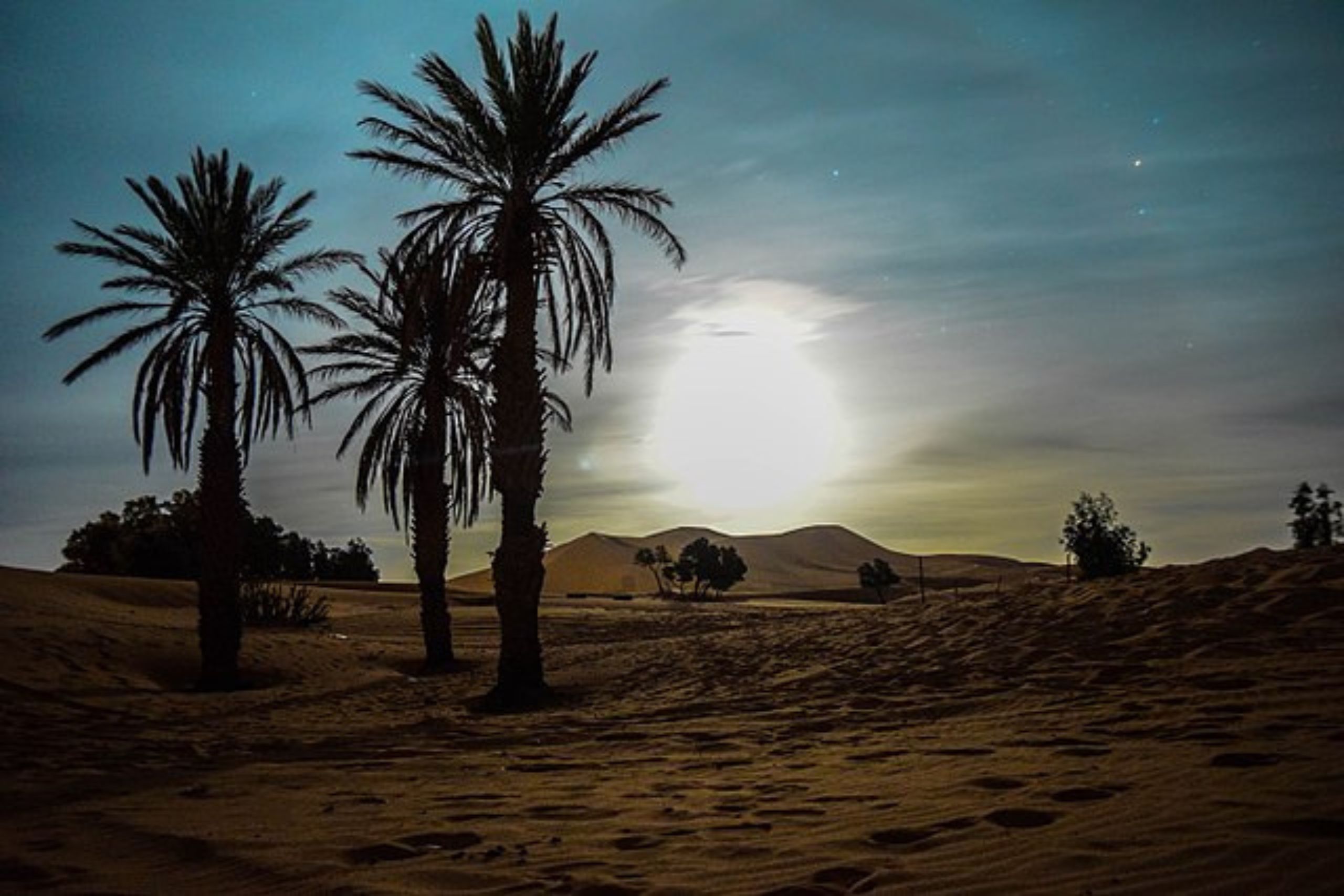 Excursion Désert Merzouga depuis Marrakech